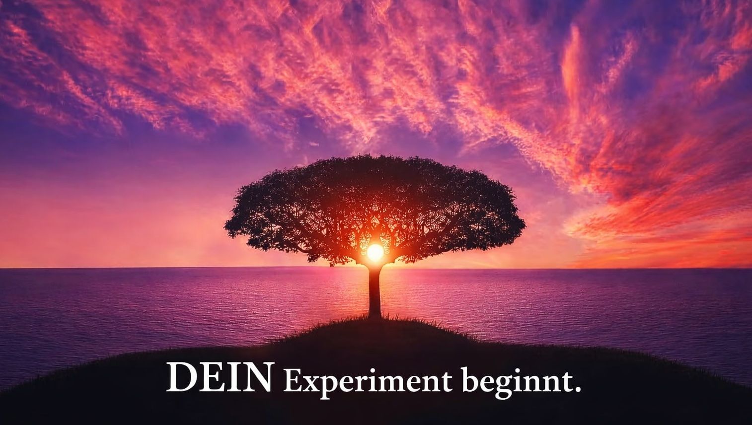 Human Design Erlebnis